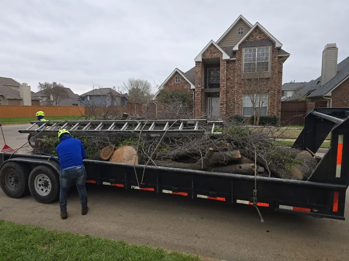 Expert Tree Pest Control with proper safety equipment in Saint Croix Falls